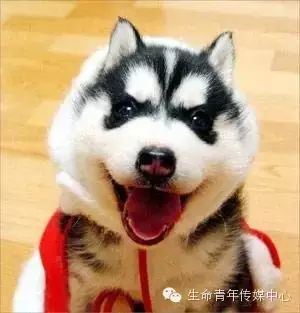 图片10.jpg