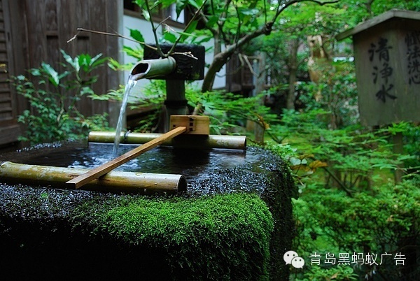 转载 青岛黑蚂蚁广告之 蚂蚁视界 日式庭院 Nbsp 禅意花园 文章
