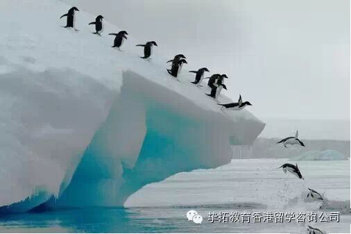 【广州香港留学】来香港后get到的十大神技能！感觉自己站在了人生巅峰呢