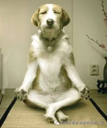 【广州香港留学】来香港后get到的十大神技能！感觉自己站在了人生巅峰呢