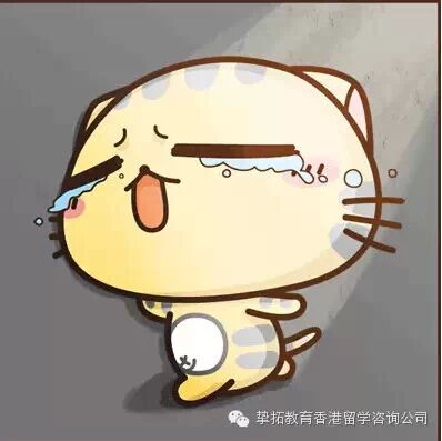 【香港留学】在香港丢失身份证怎么办？