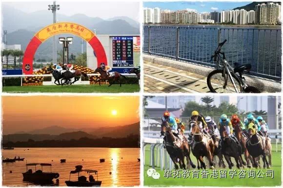 【香港留学】如果我在香港遇见你