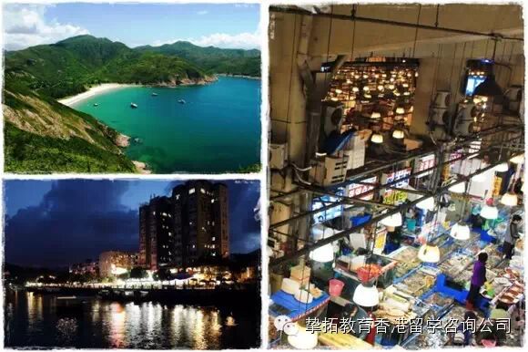 【香港留学】如果我在香港遇见你