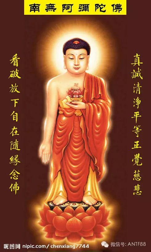 恭迎阿弥陀佛圣诞吉祥日