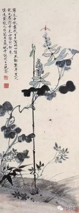 于非闇工笔花鸟画欣赏