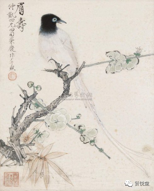 于非闇工笔花鸟画欣赏