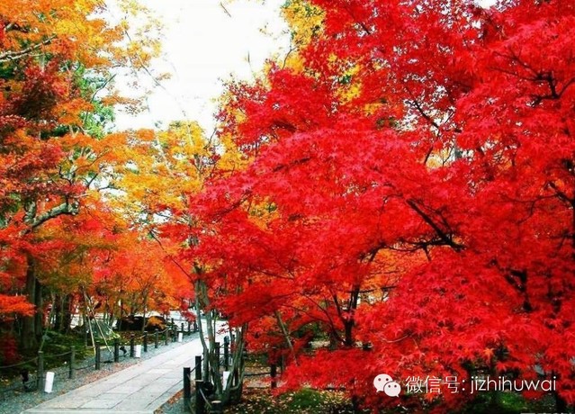 将全民健身坚持到底 香山到八大处拉练线路(香八拉)