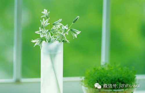 风景,因欣赏而美丽;感情,因用心而含情