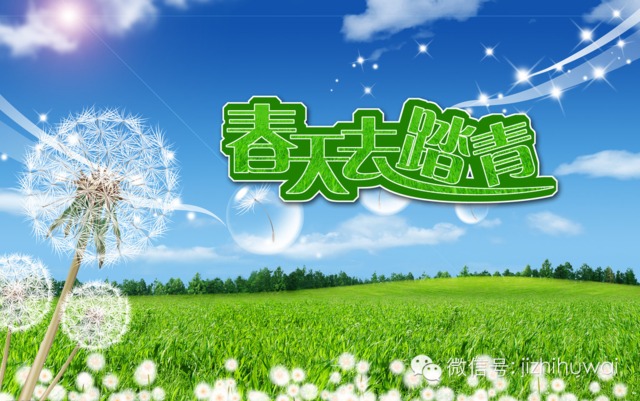 这个春天,让我们一起去踏青