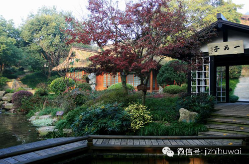 四月杭州春意浓 上山入巷寻春茶
