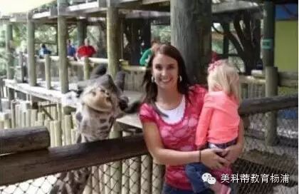 一場(chǎng)名叫“老爸老媽帶我去動(dòng)物園”的活動(dòng)