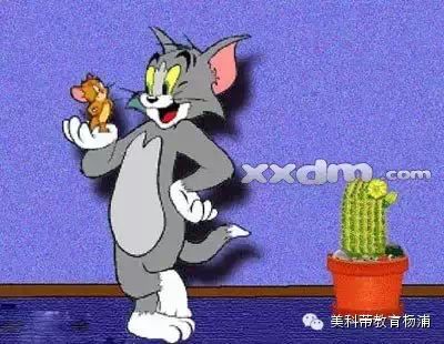 科蒂學(xué)科英語推薦 寒假少兒動畫片-80后的童年回憶