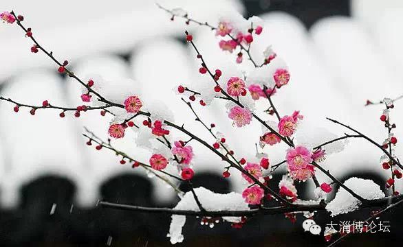 漫谈腊八节 - 杨公风水传人曾祥裕 - 杨公风水传人曾祥裕的博客 漫谈腊八节 - 杨公风水传人曾祥裕 - 杨公风水传人曾祥裕的博客