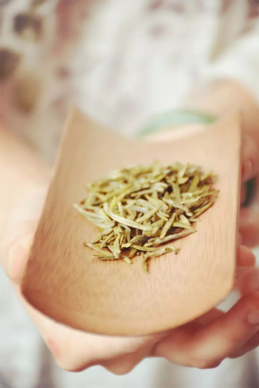 《素问蒙顶黄芽》杨瑞:茶事小考——蒙顶黄芽 《素问蒙顶黄芽》杨瑞:茶事小考——蒙顶黄芽