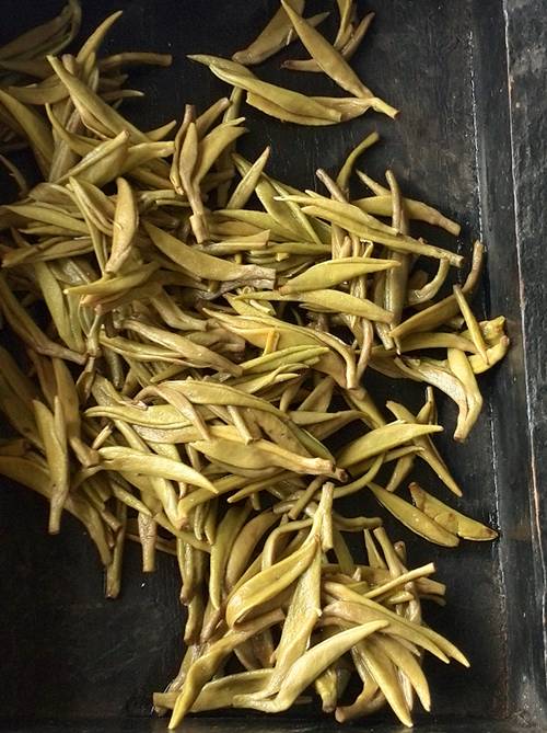 《素问蒙顶黄芽》杨瑞:茶事小考——蒙顶黄芽 《素问蒙顶黄芽》杨瑞:茶事小考——蒙顶黄芽