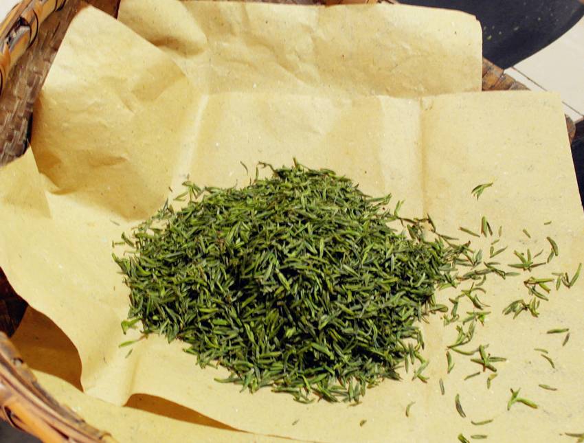 《素问蒙顶黄芽》杨瑞:茶事小考——蒙顶黄芽 《素问蒙顶黄芽》杨瑞:茶事小考——蒙顶黄芽