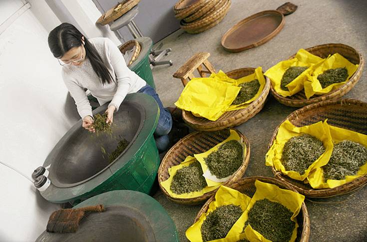 《素问蒙顶黄芽》杨瑞:茶事小考——蒙顶黄芽 《素问蒙顶黄芽》杨瑞:茶事小考——蒙顶黄芽