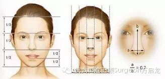 什么样的脸型才是最美的？