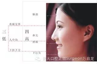 什么样的脸型才是最美的？