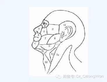 小小牙疼，何以致命？！