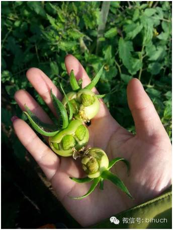 �������ܵģ�զ�������أ������̻����������ײͣ�����ƪ��