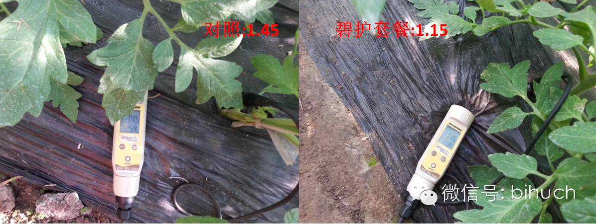 �������ܵģ�զ�������أ������̻����������ײͣ�����ƪ��