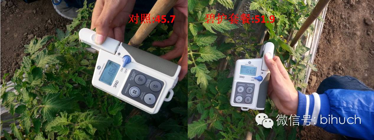 �������ܵģ�զ�������أ������̻����������ײͣ�����ƪ��