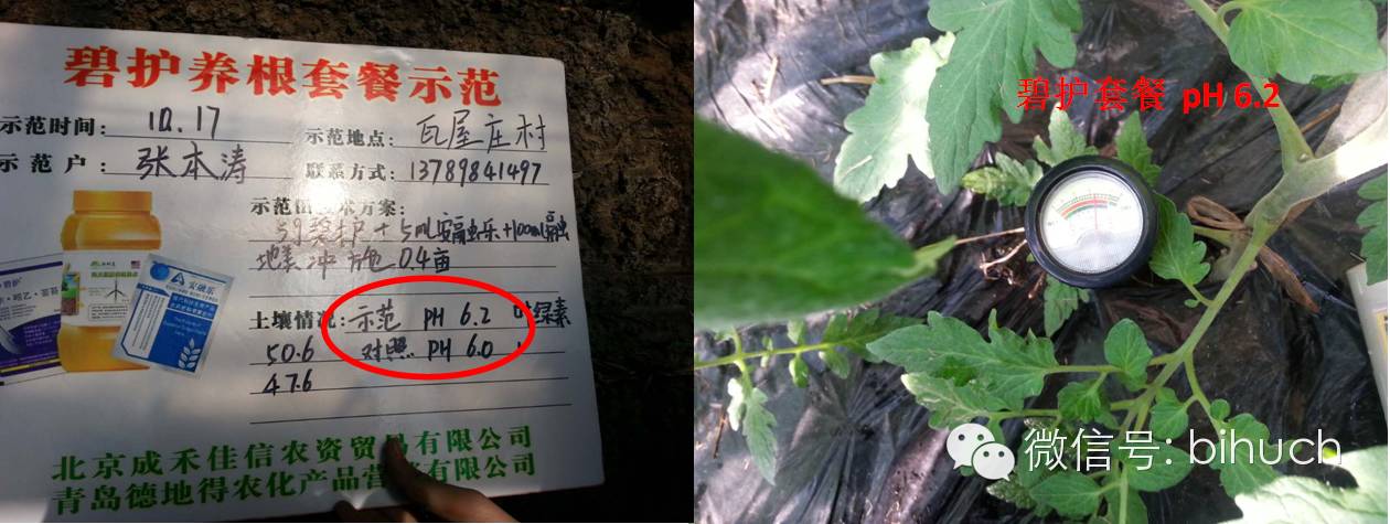 �������ܵģ�զ�������أ������̻����������ײͣ�����ƪ��