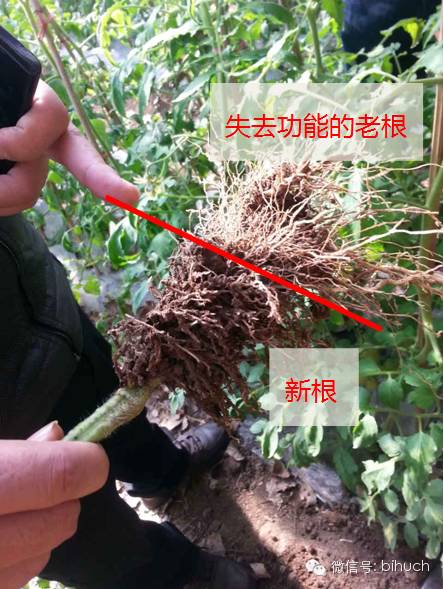 �������ܵģ�զ�������أ������̻����������ײͣ�����ƪ��