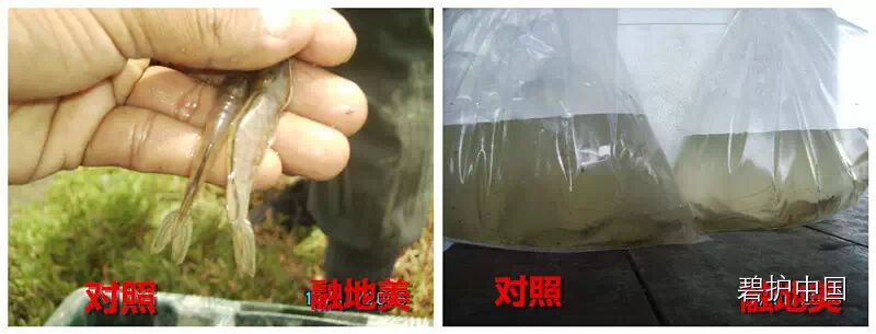 ���²�Ʒ�¼������ڵ�����ˮ����ֳ����Ӧ�õļ���