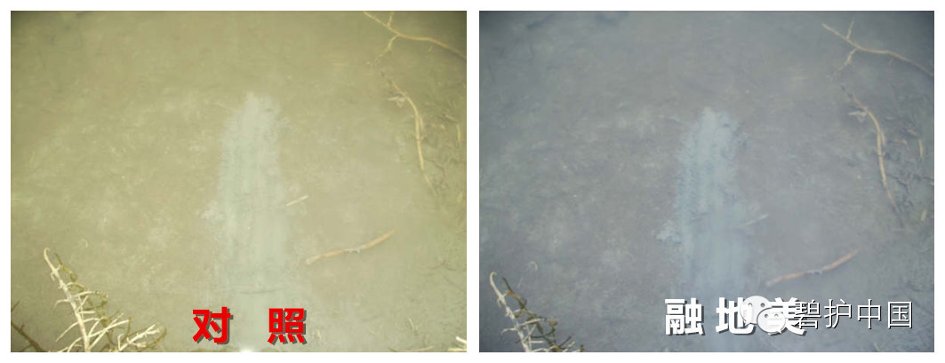 ���²�Ʒ�¼������ڵ�����ˮ����ֳ����Ӧ�õļ���