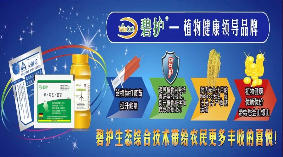 �̻���ʲô������