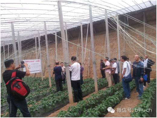 ��ʱѶ��������һ�ֽ����С����˼Ҵ��