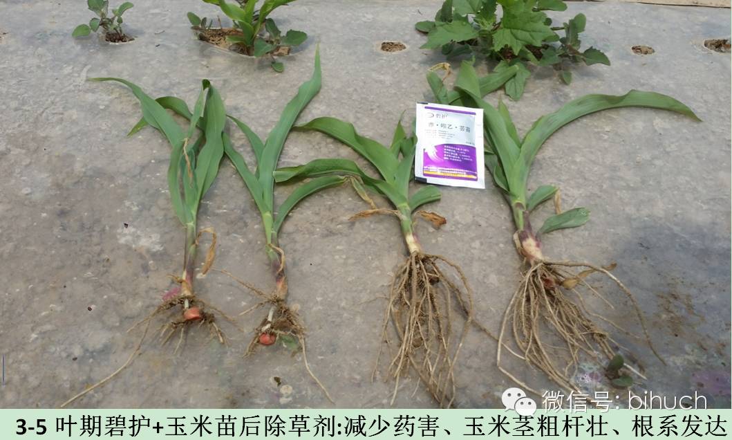 ˵˵�̻��ͳ��ݼ�����Щ�¶�