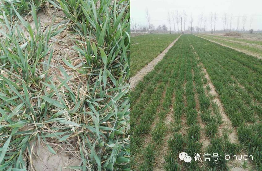 ˵˵�̻��ͳ��ݼ�����Щ�¶�