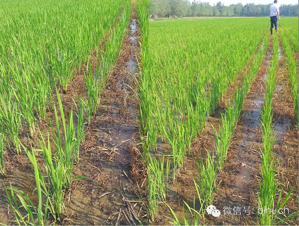 ˵˵�̻��ͳ��ݼ�����Щ�¶�