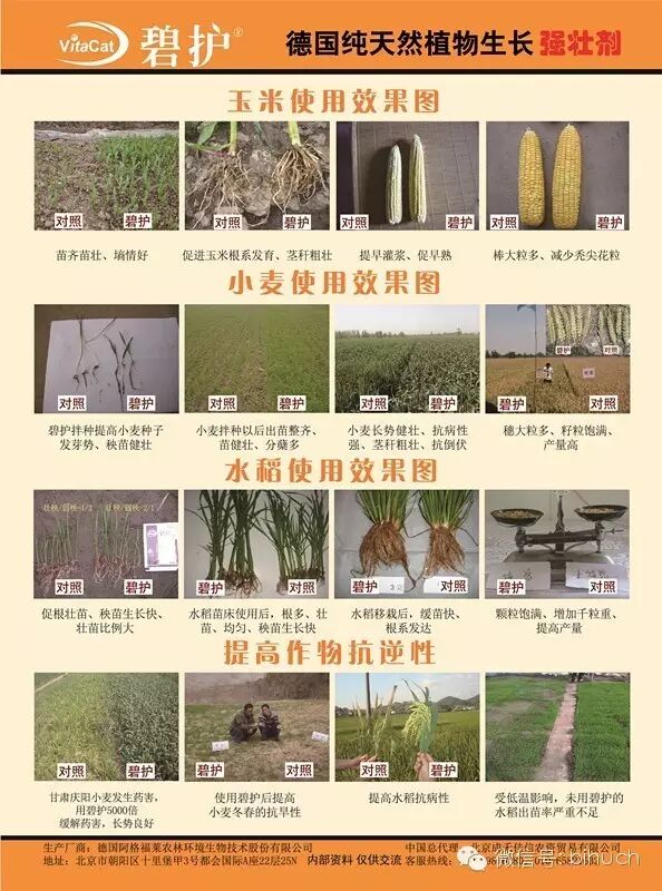 ���ɻ������̻��ڸ��������ϵ�Ӧ�ü�������������������