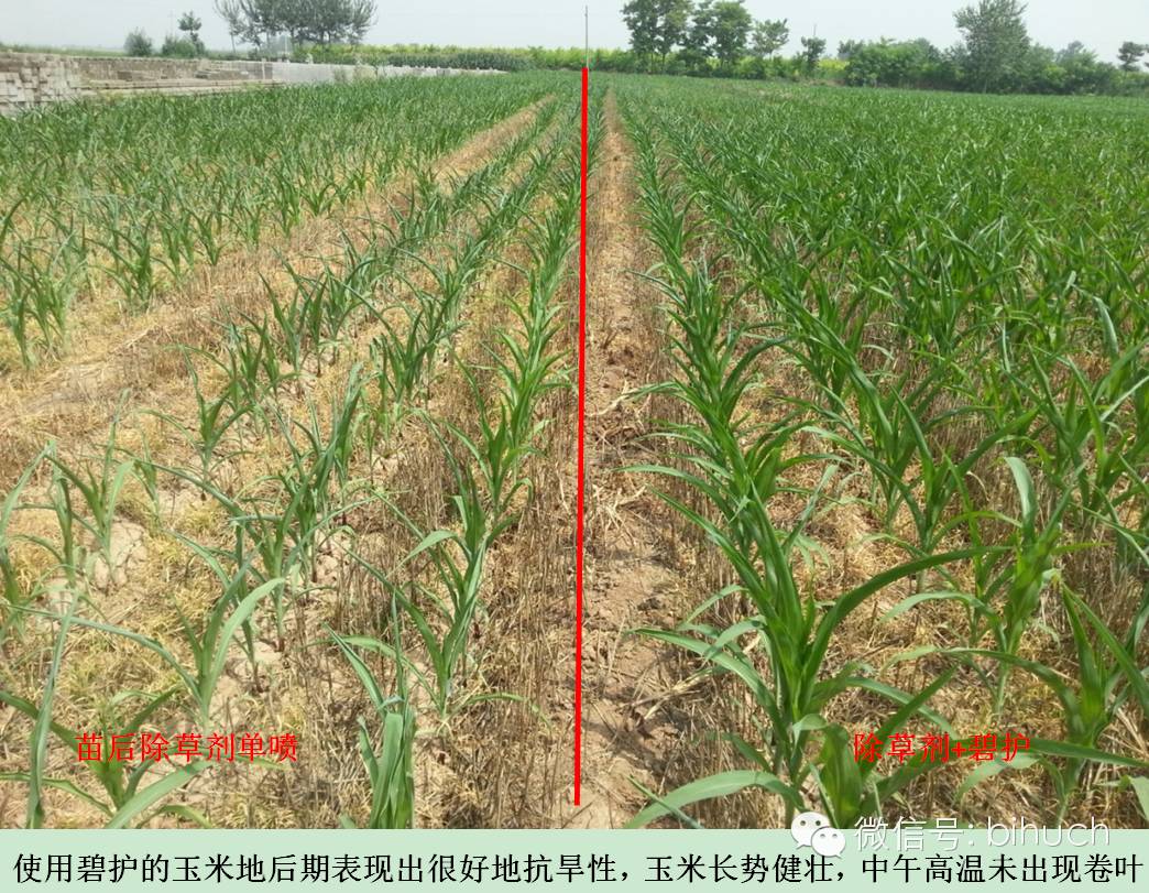 ˵˵�̻��ͳ��ݼ�����Щ�¶�