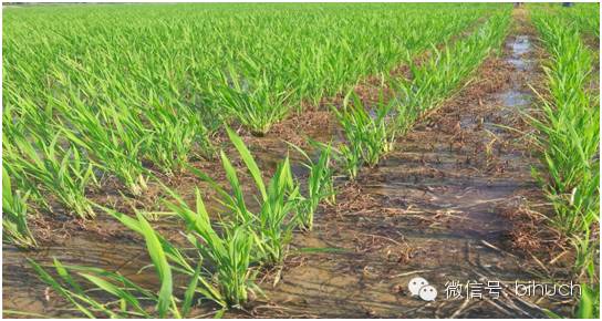 ˵˵�̻��ͳ��ݼ�����Щ�¶�