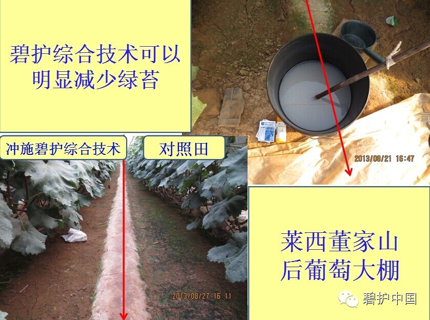 ���²�Ʒ�¼���������������������ô�ˣ�