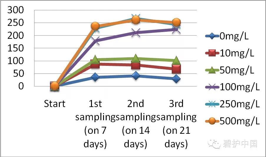 ���²�Ʒ�¼���������������������ô�ˣ�