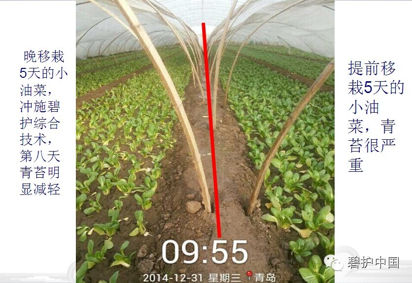 ���²�Ʒ�¼���������������������ô�ˣ�