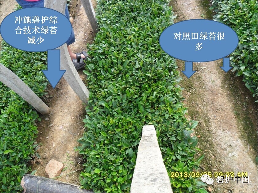 ���²�Ʒ�¼���������������������ô�ˣ�