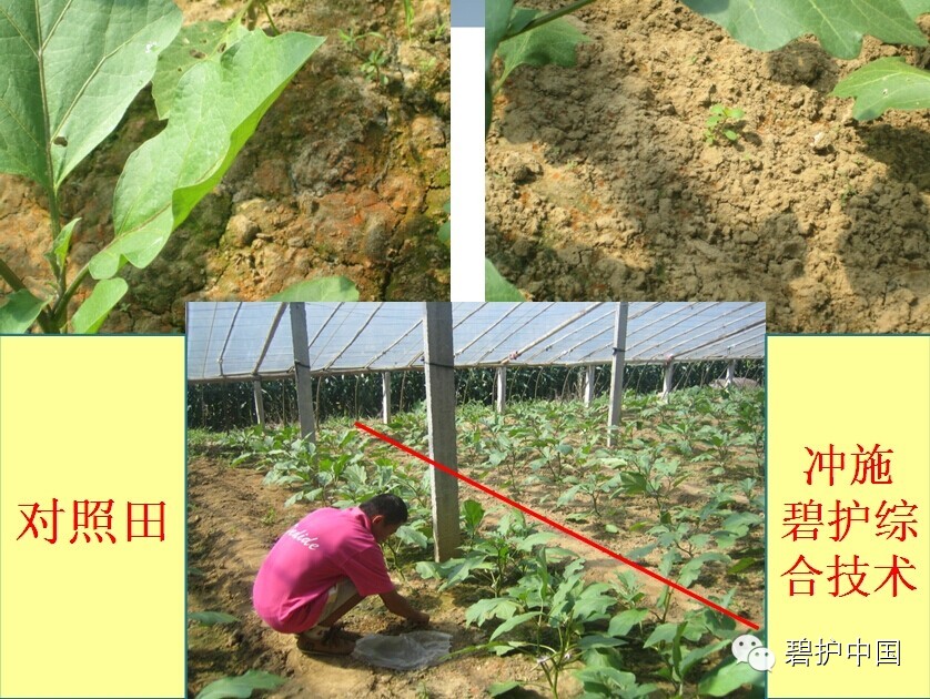 ���²�Ʒ�¼���������������������ô�ˣ�