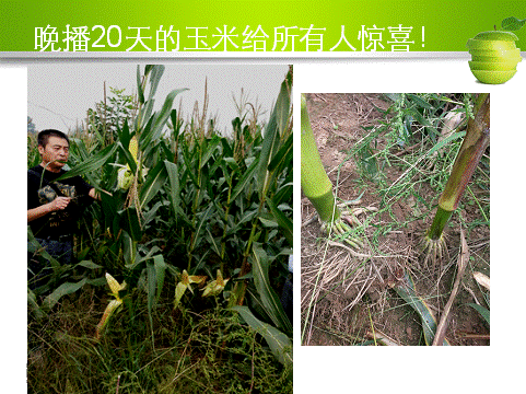 ��ʱѶ���������ס����ߡ�԰����������__���Ź���̻��ۺϼ����籩