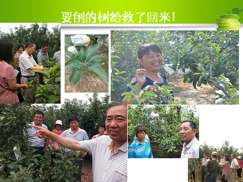 ��ʱѶ���������ס����ߡ�԰����������__���Ź���̻��ۺϼ����籩