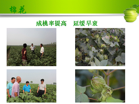 ��ʱѶ���������ס����ߡ�԰����������__���Ź���̻��ۺϼ����籩