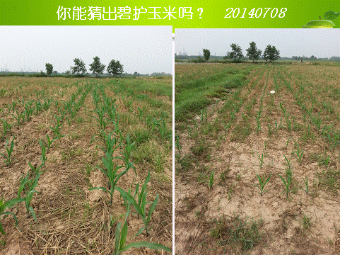 ��ʱѶ���������ס����ߡ�԰����������__���Ź���̻��ۺϼ����籩