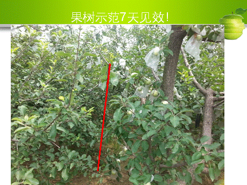 ��ʱѶ���������ס����ߡ�԰����������__���Ź���̻��ۺϼ����籩