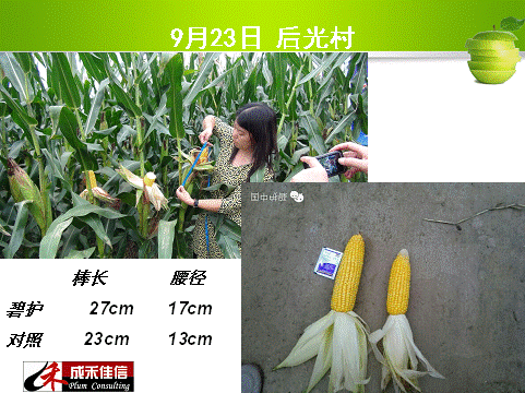 ��ʱѶ���������ס����ߡ�԰����������__���Ź���̻��ۺϼ����籩